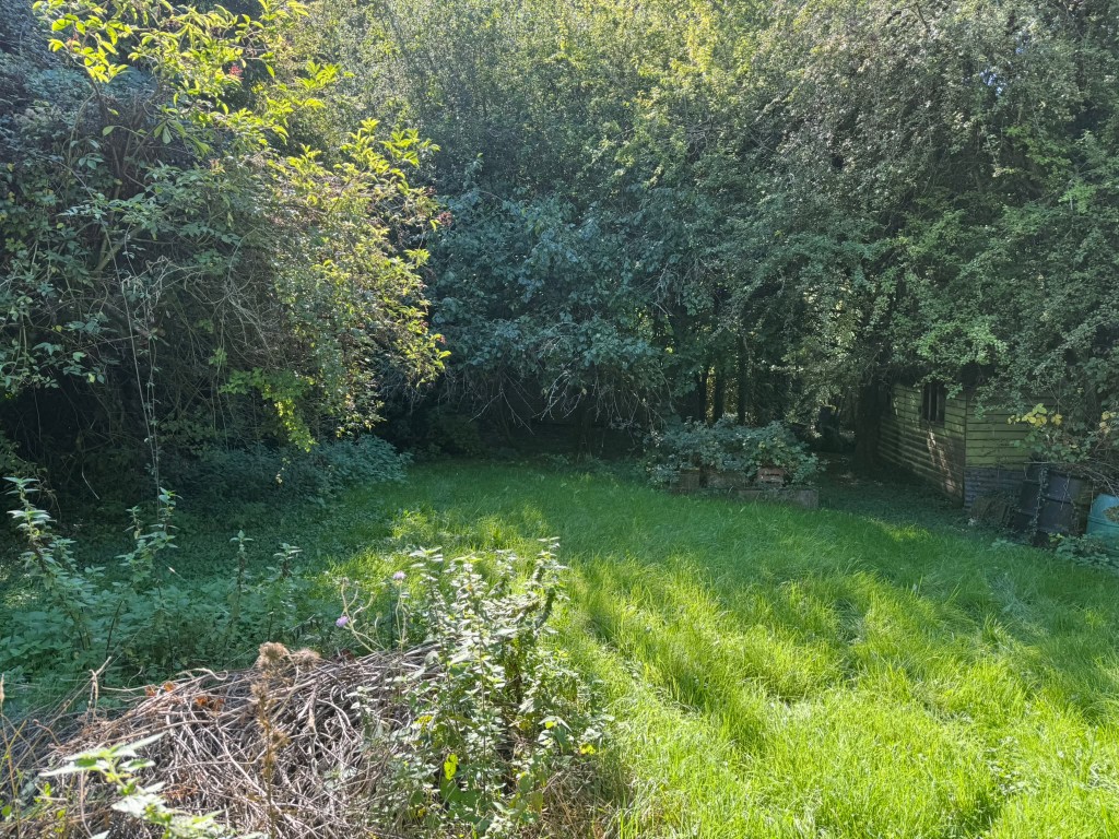 Lot: 47 - APPROXIMATELY HALF AN ACRE OF LAND WITH VACANT POSSESSION - Grass and mature trees